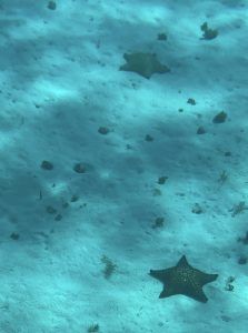 Las mejores excursiones en la Riviera Maya