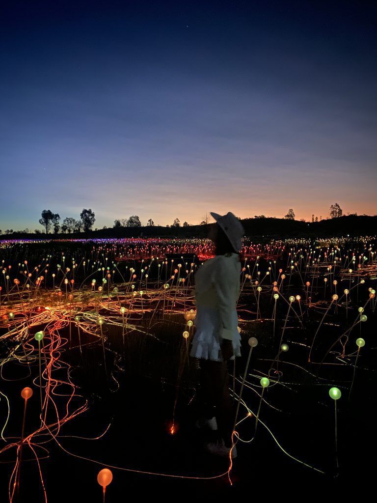 Field of lights