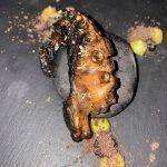 Pulpo a la piedra