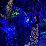 Experiencia Pandora Holbox
