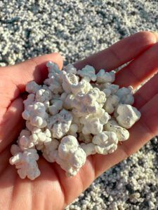 Palomitas - Fuerteventura