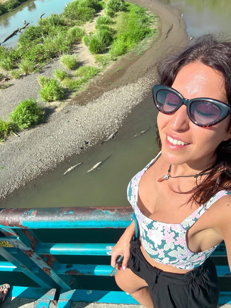 Ver cocodrilos en Costa Rica