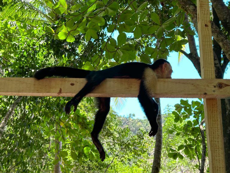Ruta de 10 días por Manuel Antonio
